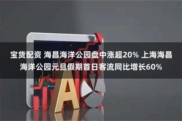 宝货配资 海昌海洋公园盘中涨超20% 上海海昌海洋公园元旦假期首日客流同比增长60%