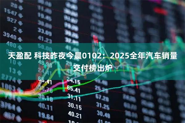 天盈配 科技昨夜今晨0102：2025全年汽车销量交付榜出炉