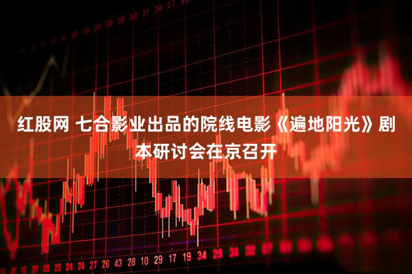 红股网 七合影业出品的院线电影《遍地阳光》剧本研讨会在京召开